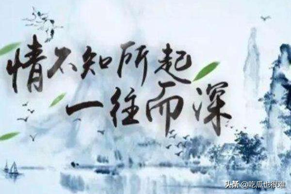 情不知所起一往而深下一句_情不知所起一往而深下一句缘不知所终