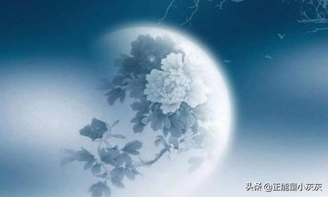 烟波江南的全部小说_烟波江南作品集