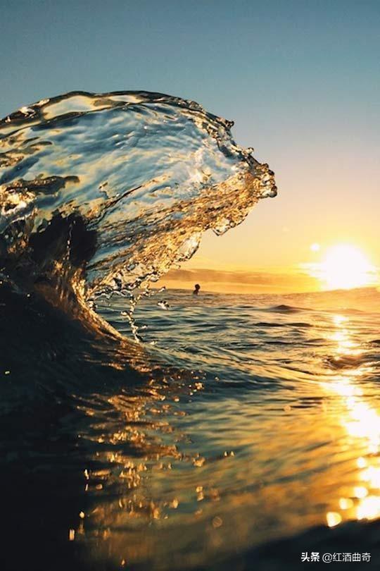 叶辰萧初然继续最新（叶辰萧初然继续免费阅读第3098章节）