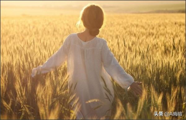 爱情随遇而安 （然后爱情随遇而安）