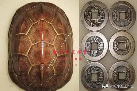 六爻（六爻占卜）（六爻大全）