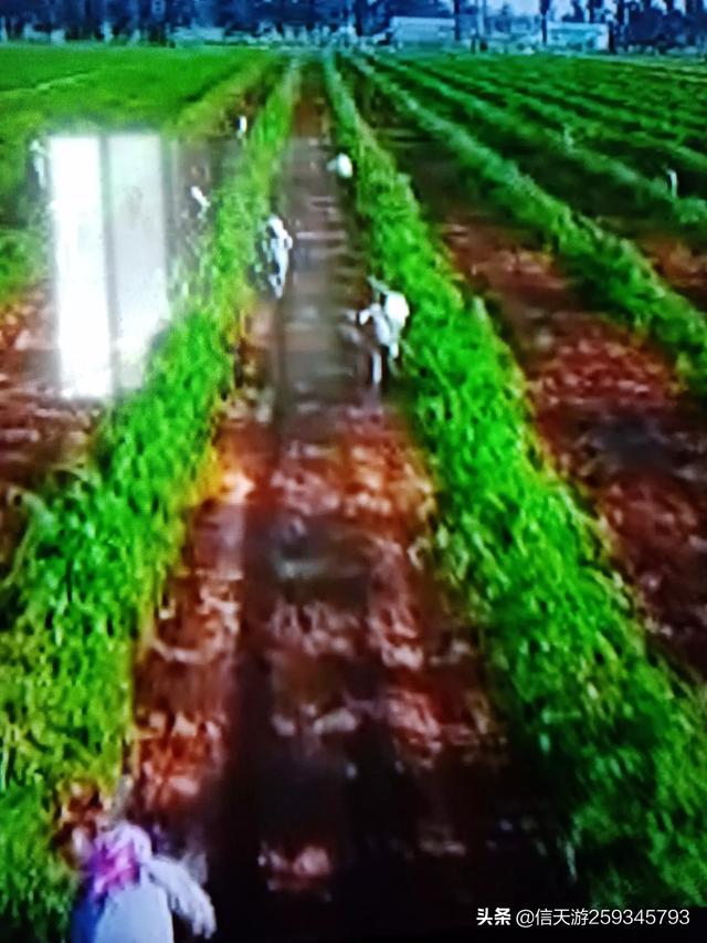 给小学生讲的有趣故事(适合讲给小学生的故事有哪些)