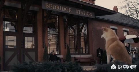 真实故事改编的感人电影(真实故事改编的感人电影叫什么)